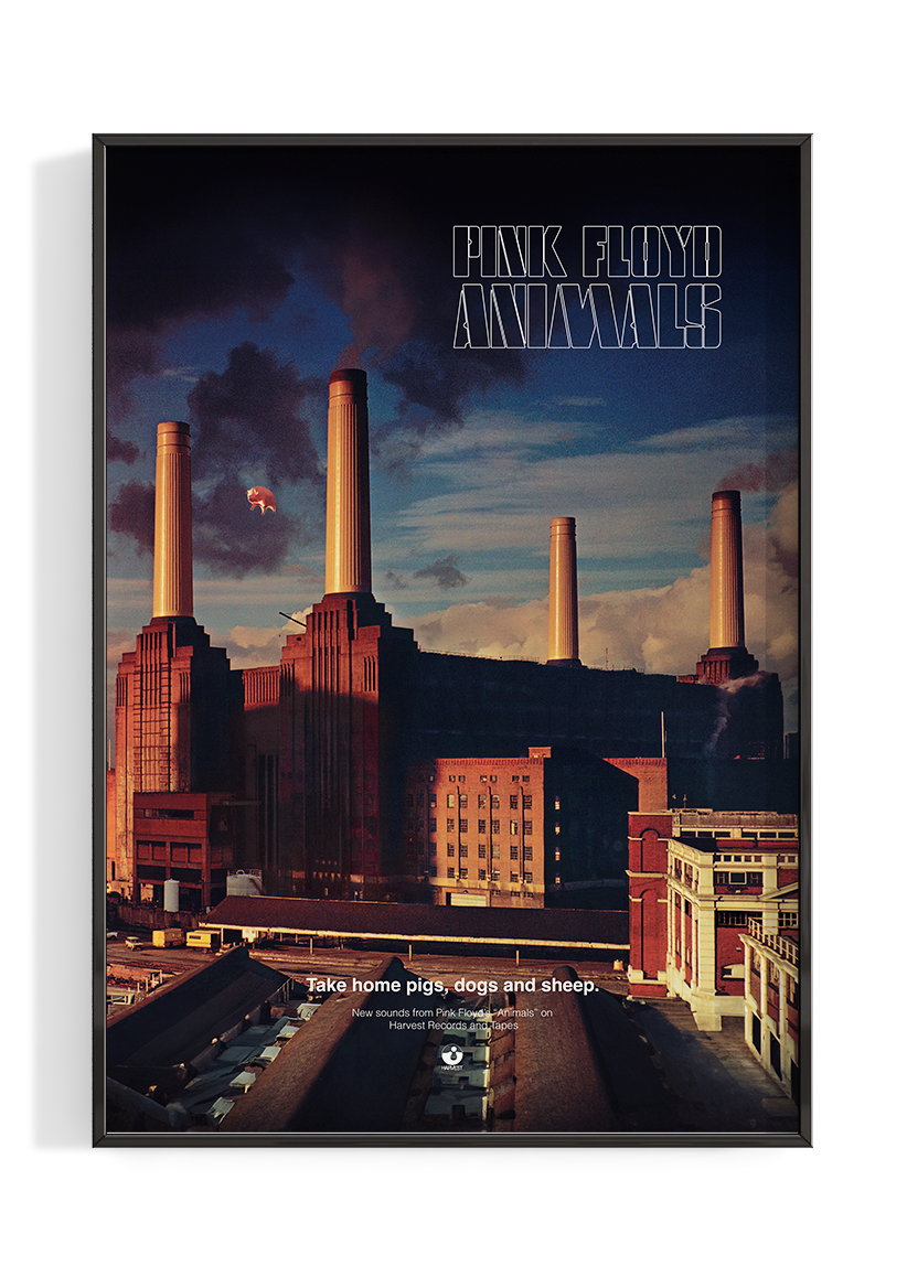 Pink Floyd 'Animals' Poster