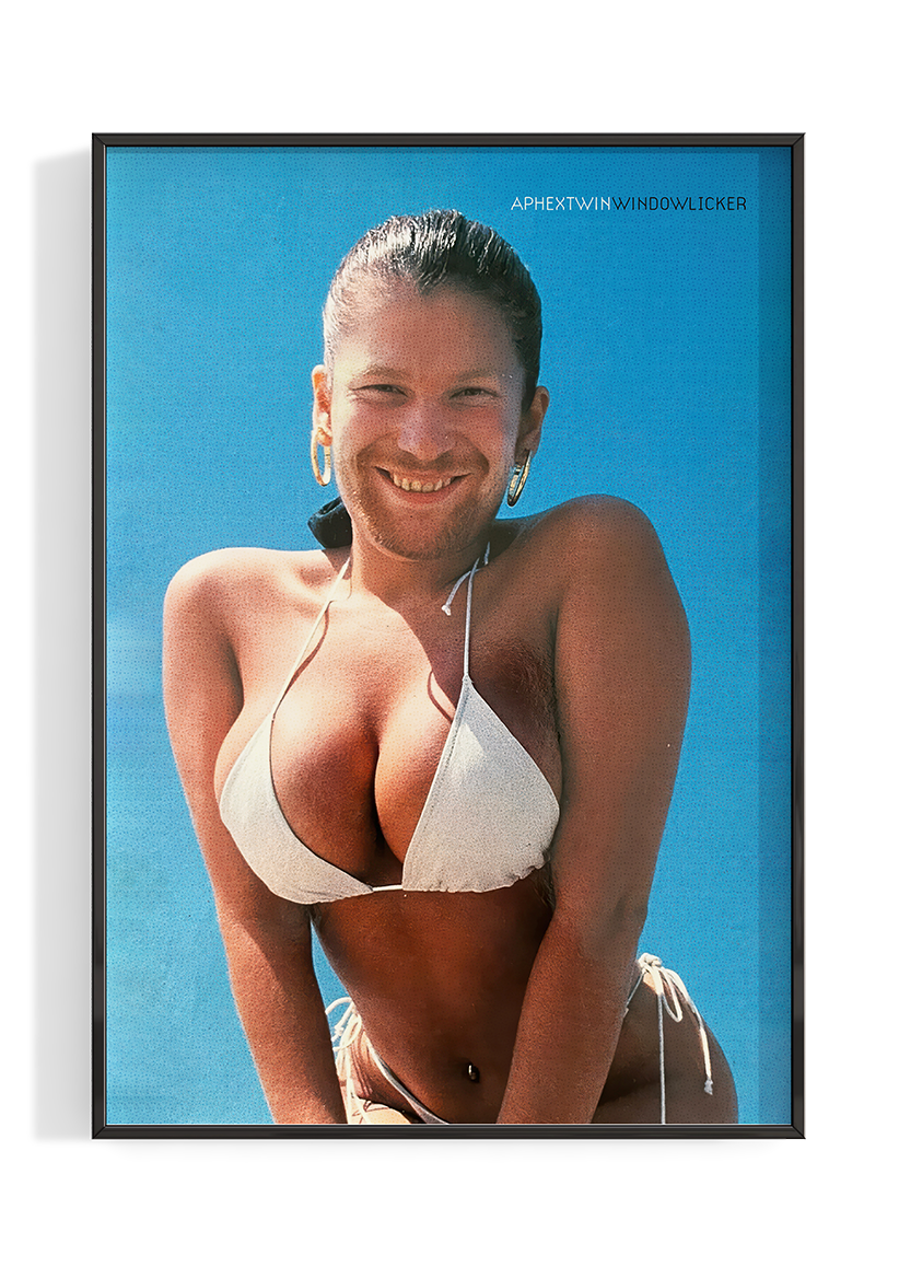 Aphex Twin 'Windowlicker' Poster