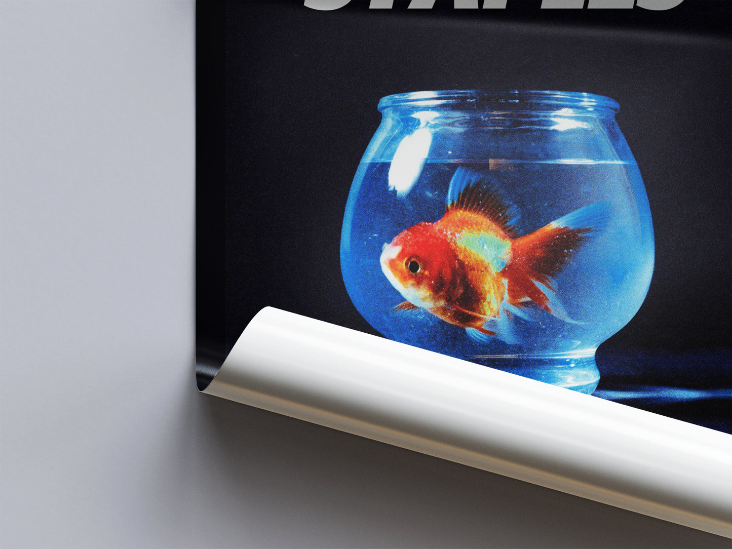 Vince Staples 'Big Fish Theory' Poster