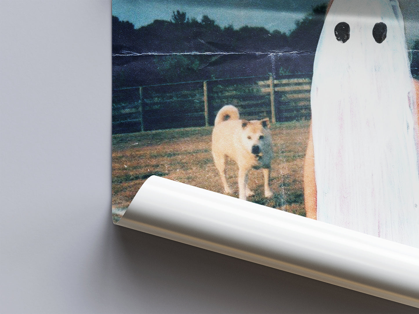 Phoebe Bridgers 'Stranger In The Alps' Poster