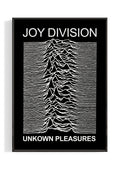 Joy Division 'Unknown Pleasures' Album Poster