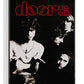 The Doors Poster