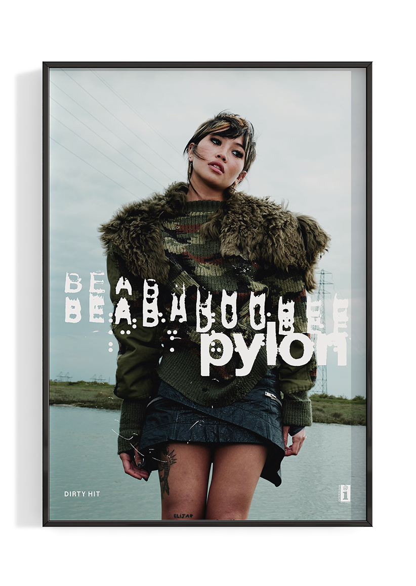 beabadoobee 'Pylon' Album Poster
