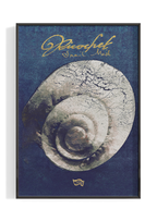 Snail Mail 'Ricochet' Album Poster