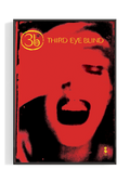 Third Eye Blind Album Poster