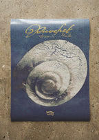 Snail Mail 'Ricochet' Album Poster