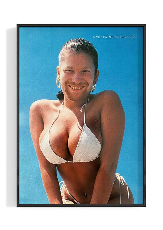 Aphex Twin 'Windowlicker' Poster