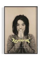 Bjork 'Debut' Poster