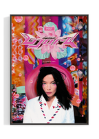 Bjork 'Post' Poster