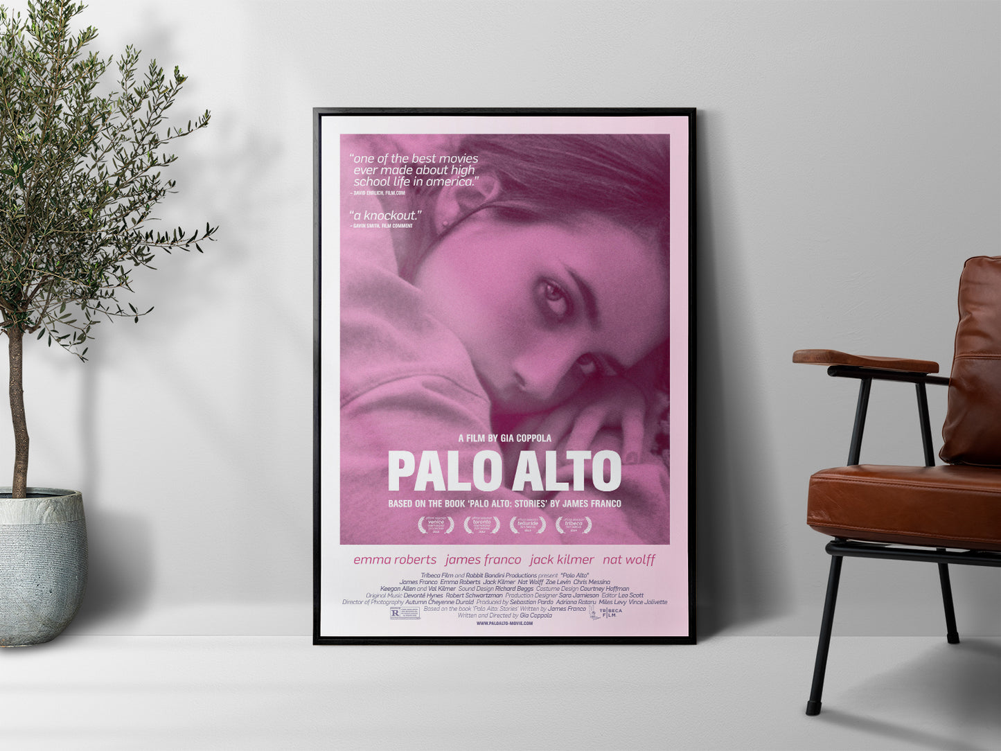 Palo Alto (2013) Poster