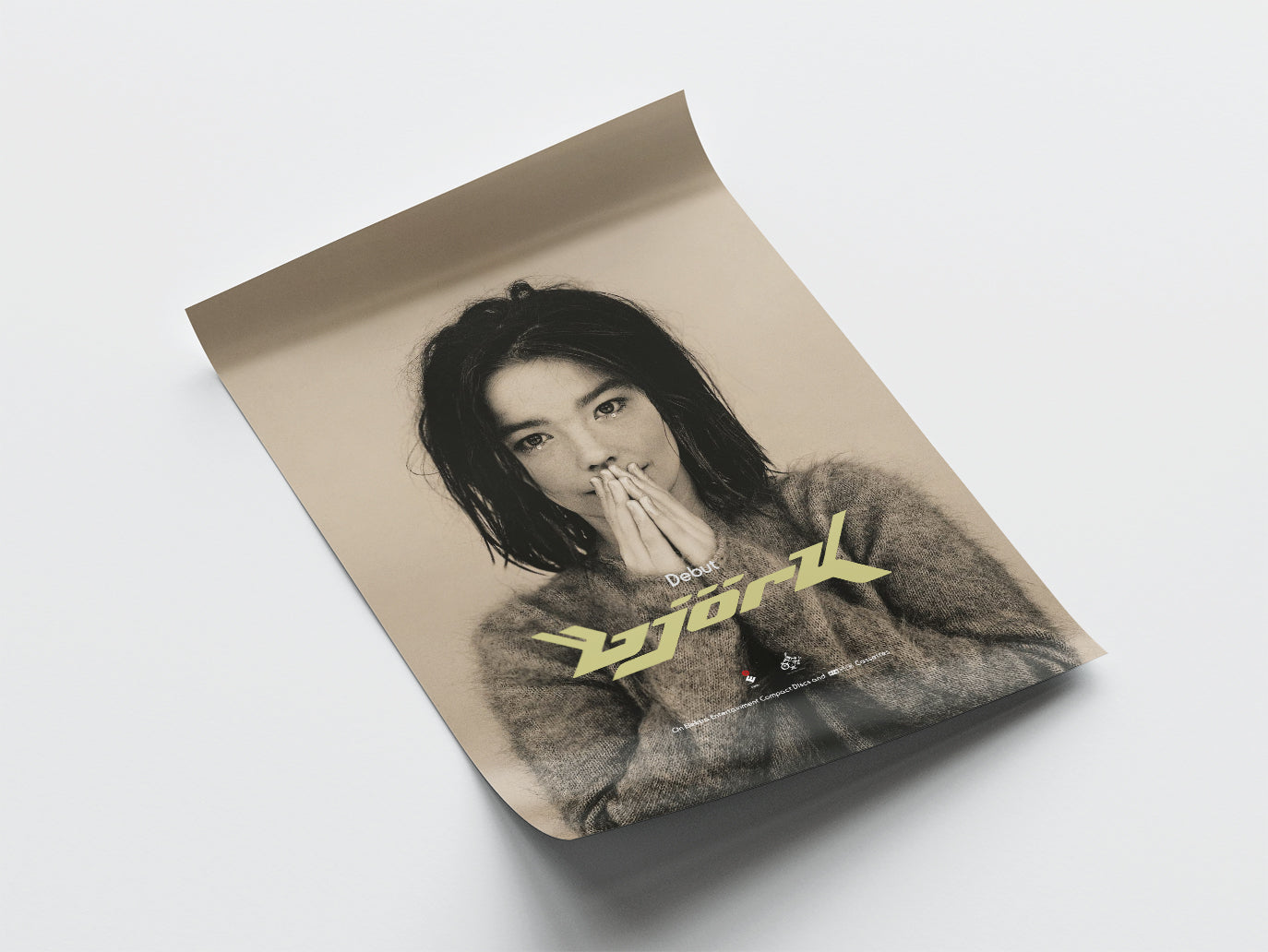 Bjork 'Debut' Poster