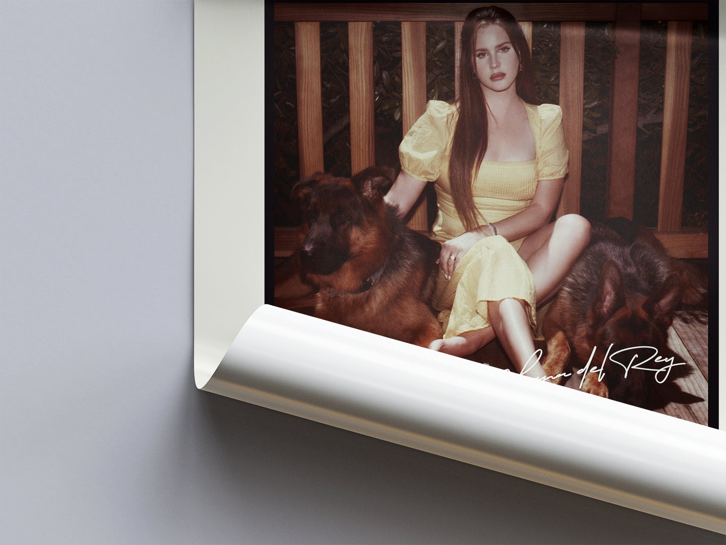 Lana Del Rey 'Blue Banisters' Poster