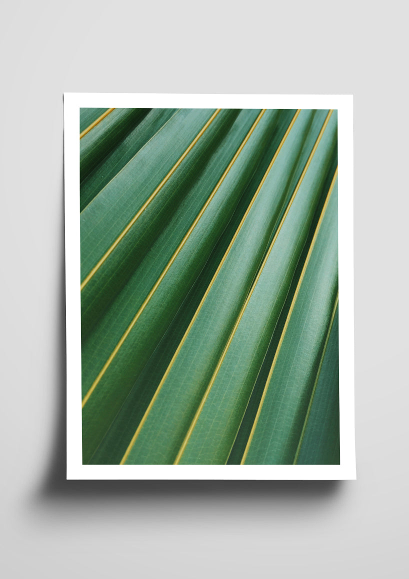 Botanical Poster 1011